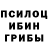Псилоцибиновые грибы прущие грибы Iana Bellamy