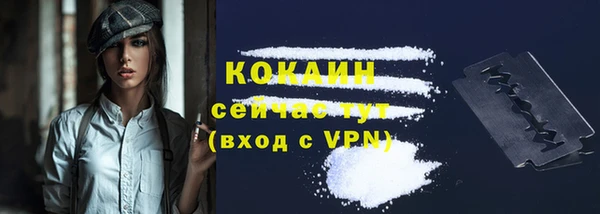 гидра Верхний Тагил
