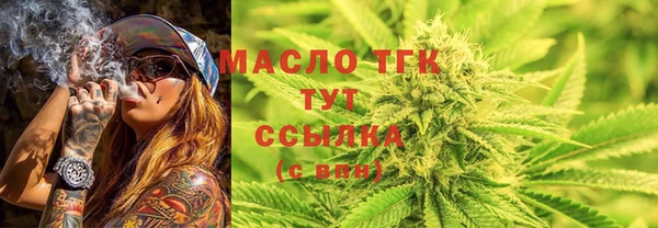 гидра Верхний Тагил
