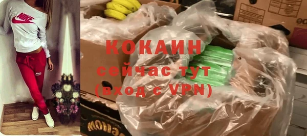 гидра Верхний Тагил