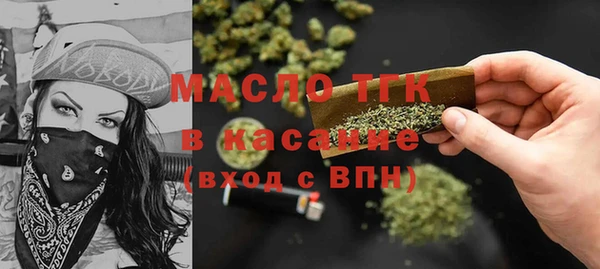 гидра Верхний Тагил