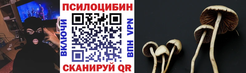 MEGA маркетплейс  наркота  Электроугли  Псилоцибиновые грибы Cubensis 